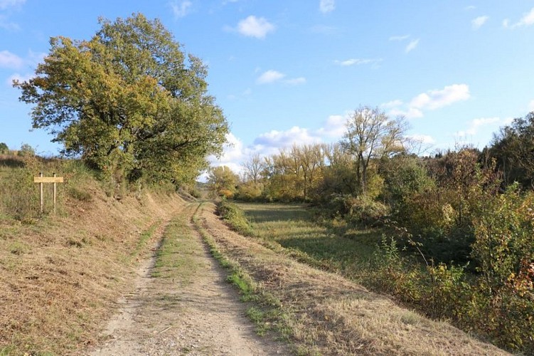 Panoramic Trail in Malepère