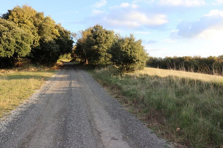 Panoramic Trail in Malepère