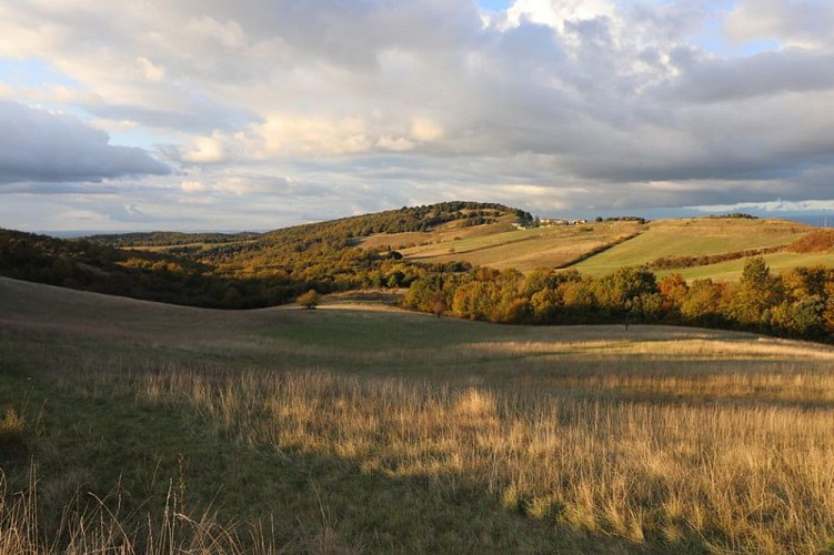 Le sentier panoramique de la Malepère