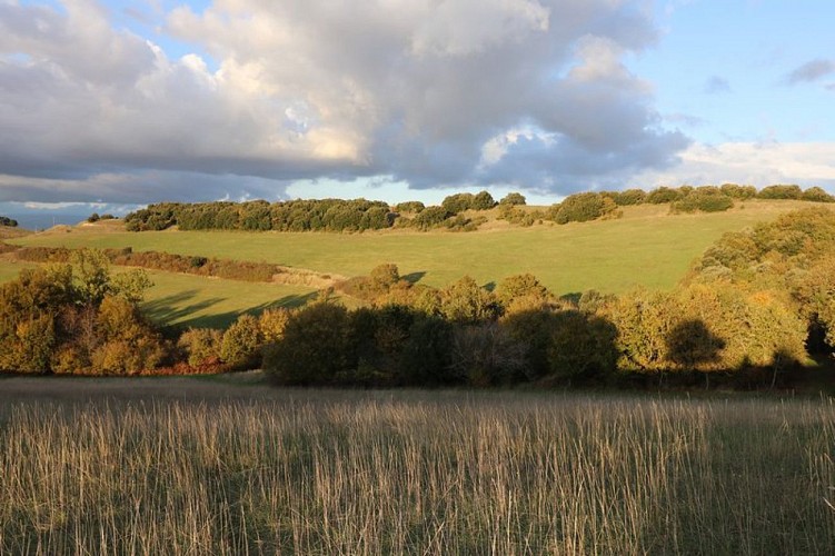 Le sentier panoramique de la Malepère