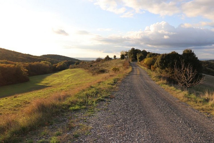 Le sentier panoramique de la Malepère - VTT