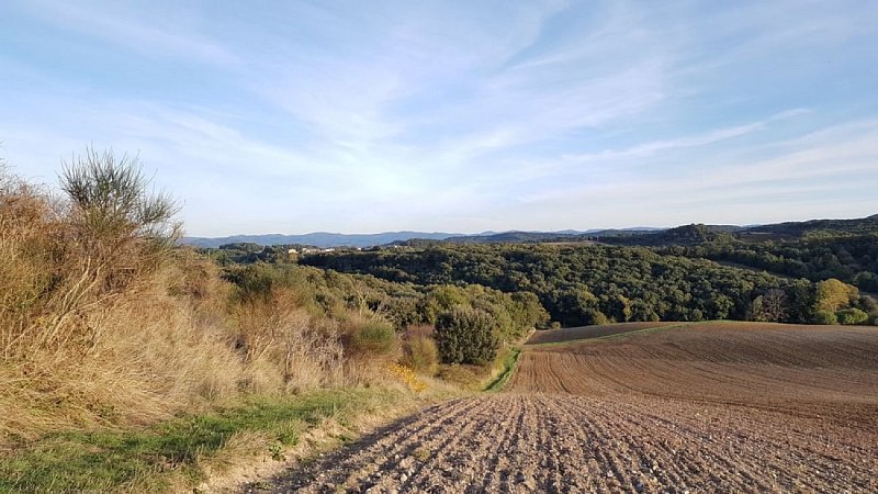 Le sentier panoramique de la Malepère - VTT