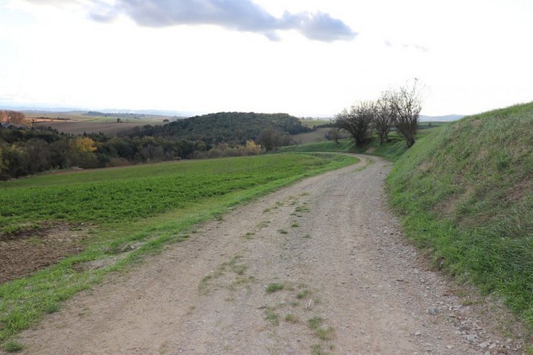 Le sentier panoramique de la Malepère - VTT