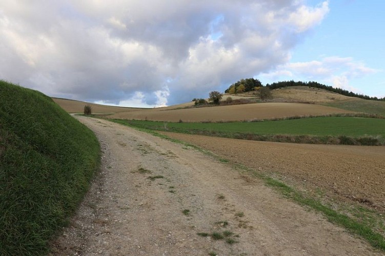 Le sentier panoramique de la Malepère - VTT
