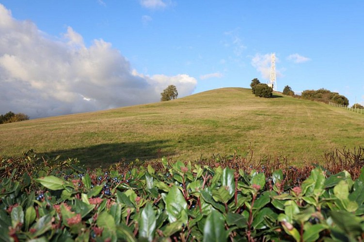 Le sentier panoramique de la Malepère - VTT