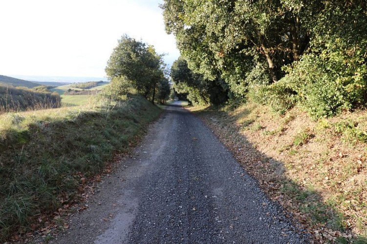 Le sentier panoramique de la Malepère - VTT