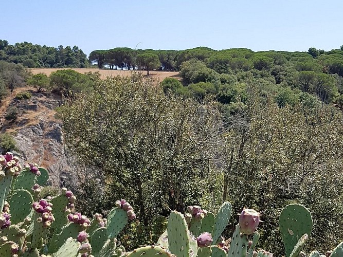 The Mills of the Dure river