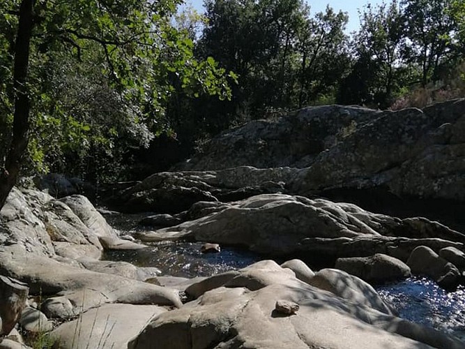 The Mills of the Dure river