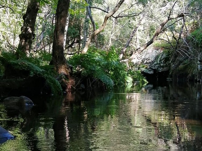 The Mills of the Dure river