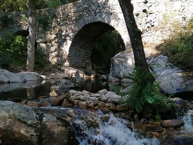 The Mills of the Dure river