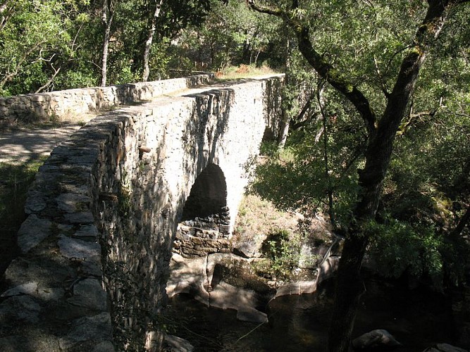 The Mills of the Dure river