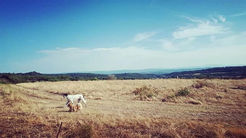 Les Moulins de la Dure