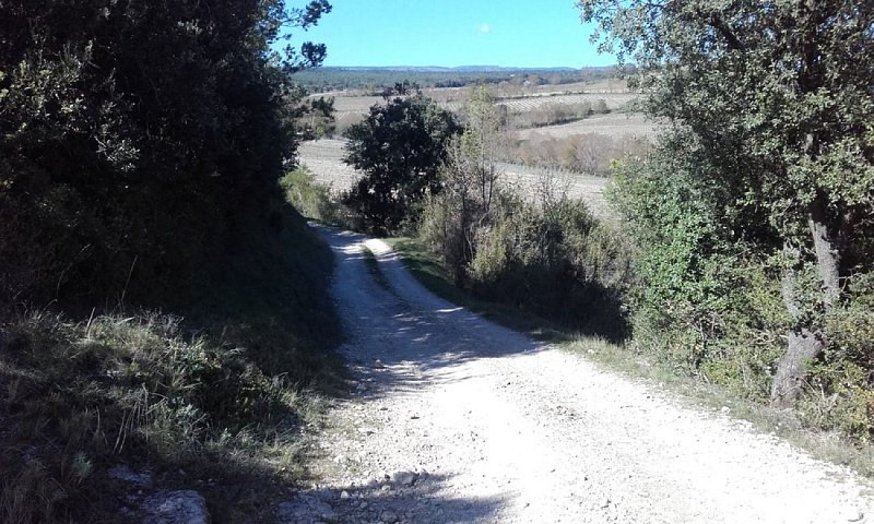 Sentier