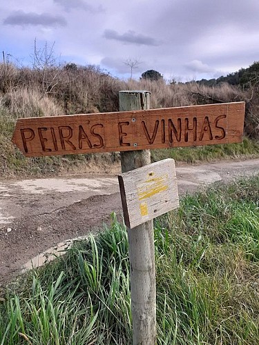 Péiras e Vinhas