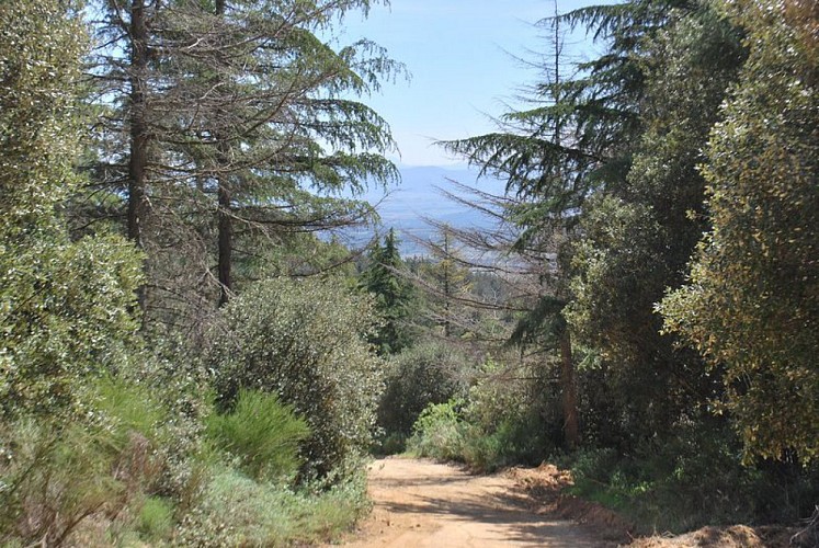 Sentier du Marbre - Villeneuve loop