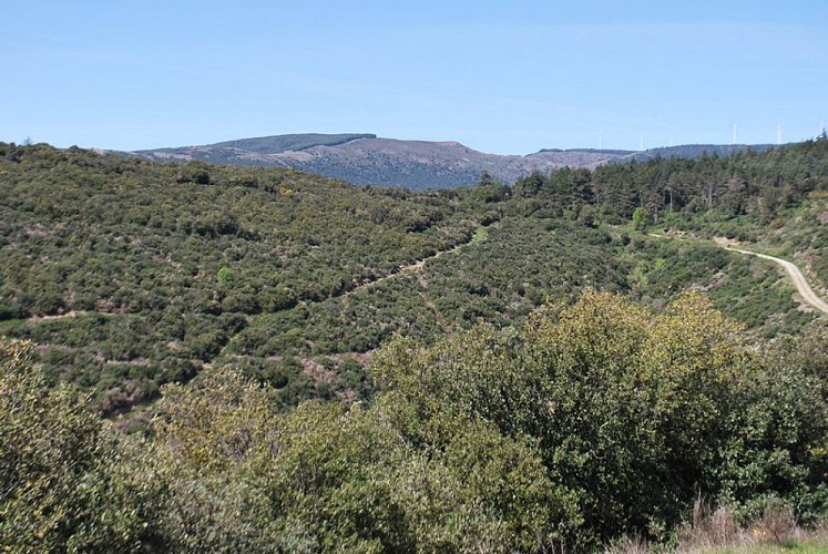 Sentier du Marbre - Villeneuve loop