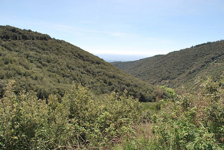 Sentier du Marbre - Villeneuve loop