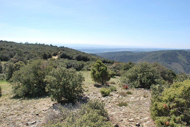 Sentier du Marbre - Villeneuve loop