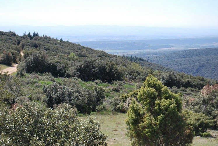 Sentier du Marbre - Villeneuve loop