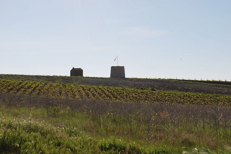 Sentier du Marbre - Villeneuve loop