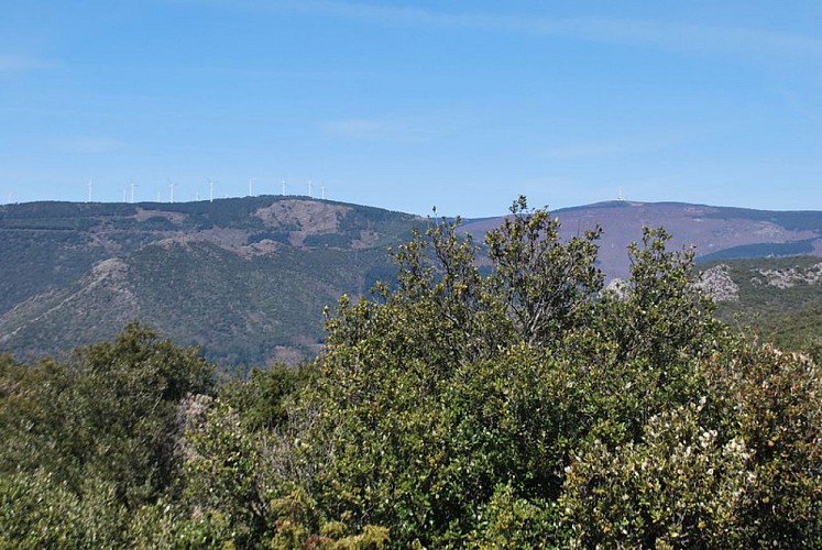 Sentier du Marbre - Villeneuve loop