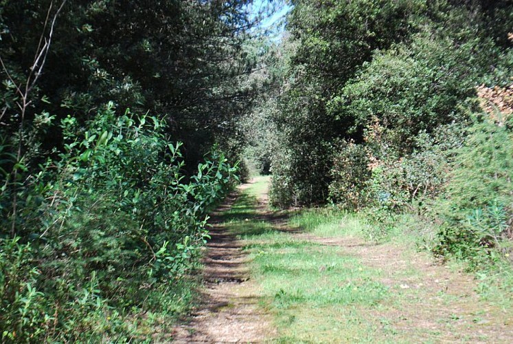 Sentier du Marbre - Boucle de Villeneuve