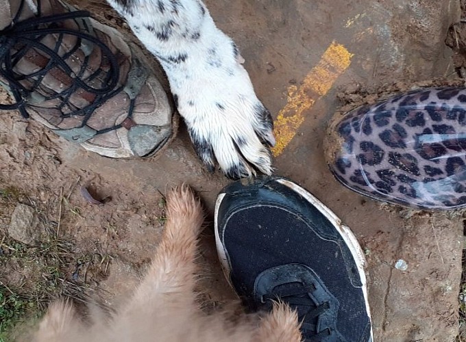 On the plateau de la Bade