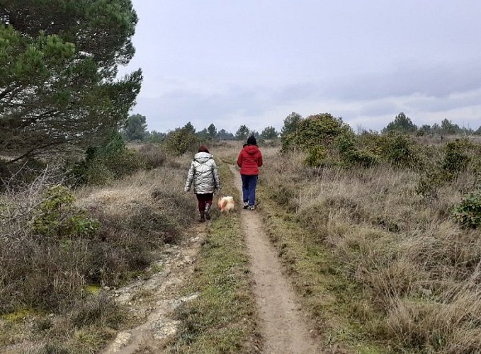 On the plateau de la Bade