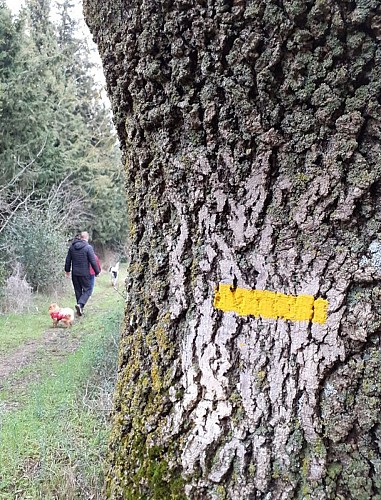 On the plateau de la Bade