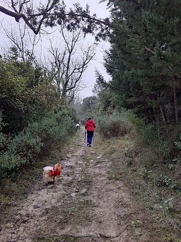On the plateau de la Bade