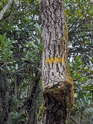 On the plateau de la Bade
