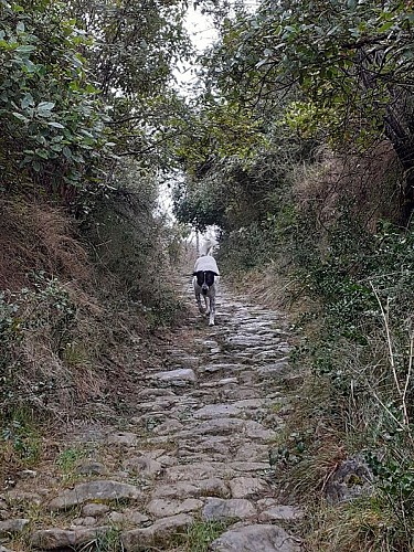 On the plateau de la Bade