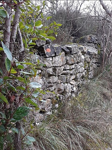 On the plateau de la Bade