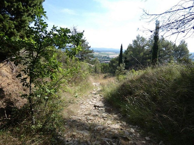 Sur le plateau de la Bade