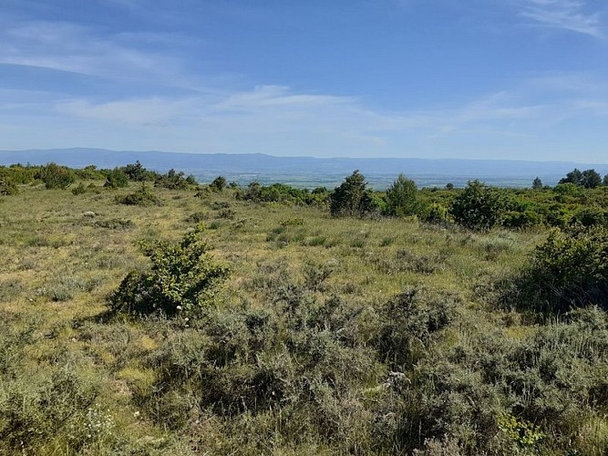 On the ridges of Alaric