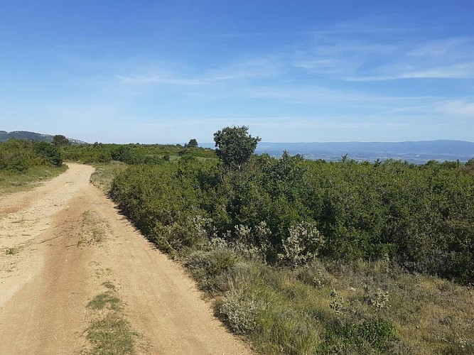 On the ridges of Alaric
