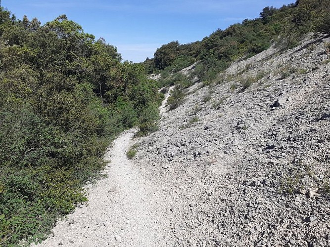 On the ridges of Alaric