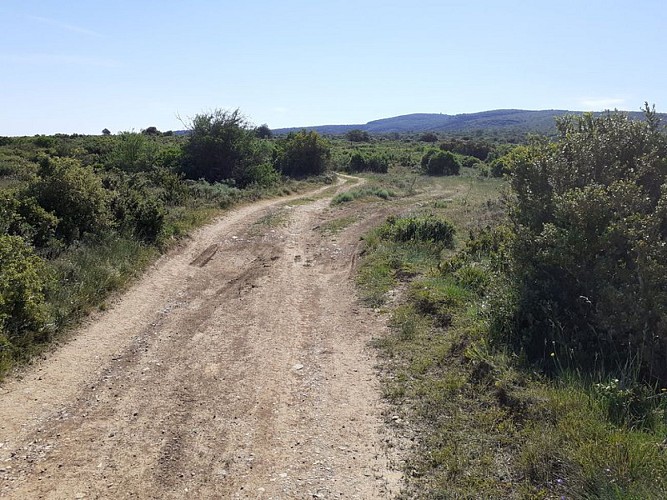 Sur les crêtes de l'Alaric