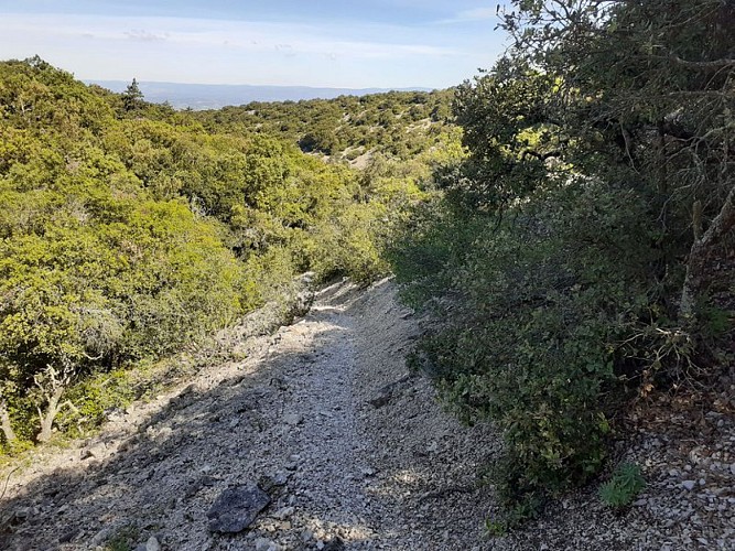 Sur les crêtes de l'Alaric