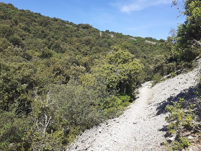 Sur les crêtes de l'Alaric