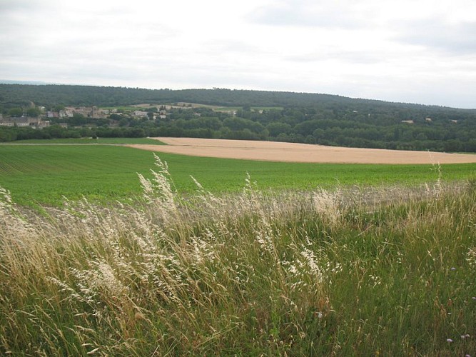 Sur les rives du Lampy