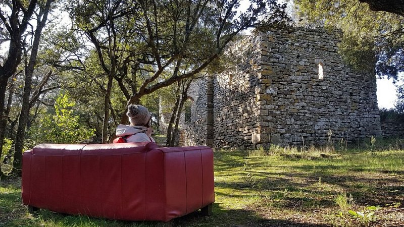 Aller retour pour contempler les ruines de Notre Dame de la Lauze