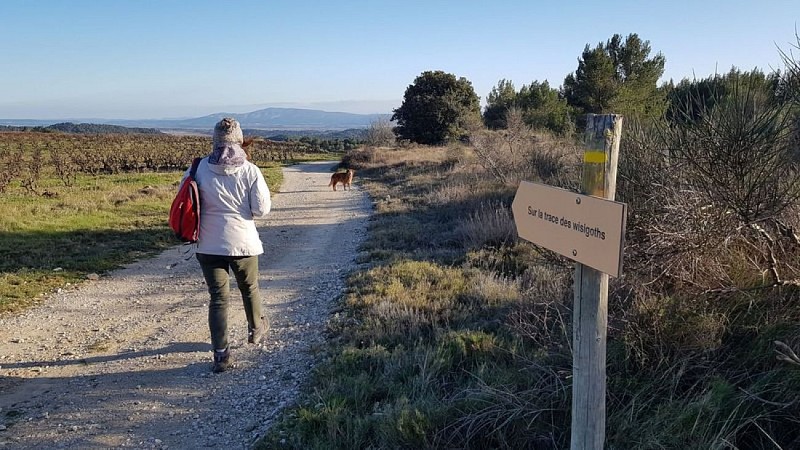 Sur le retour, vue panoramique sur l'Alaric