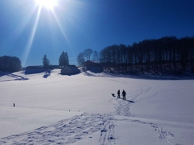 Snowshoeing trail: Le Nerbier