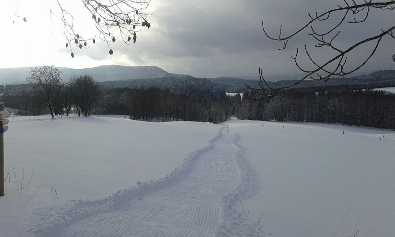 Snowshoeing trail: Groleaz