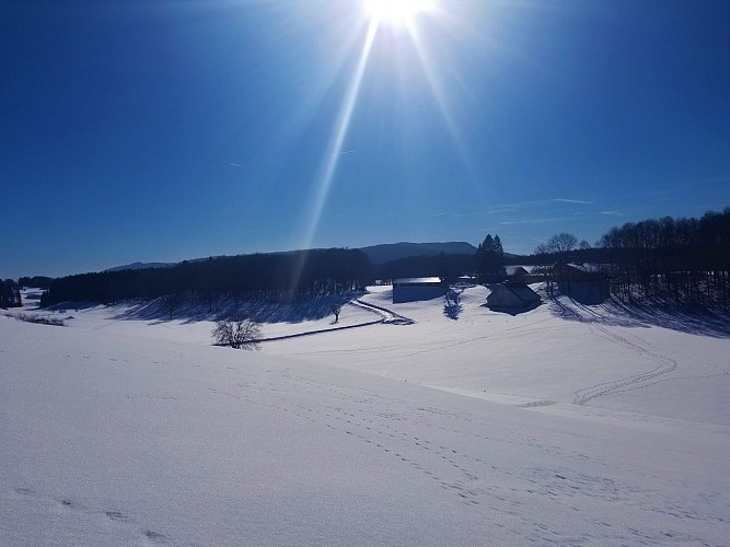 Snowshoeing trail: Les Orgières