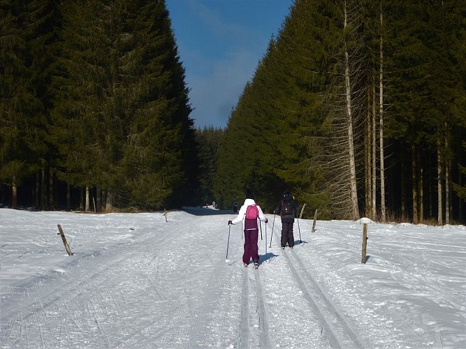 Cross country skiing tracks: short green for beginners