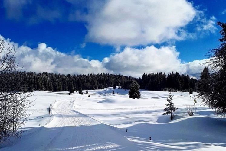 Cross country skiing tracks: short green for beginners