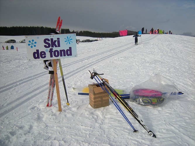 Cross country skiing tracks: short green for beginners