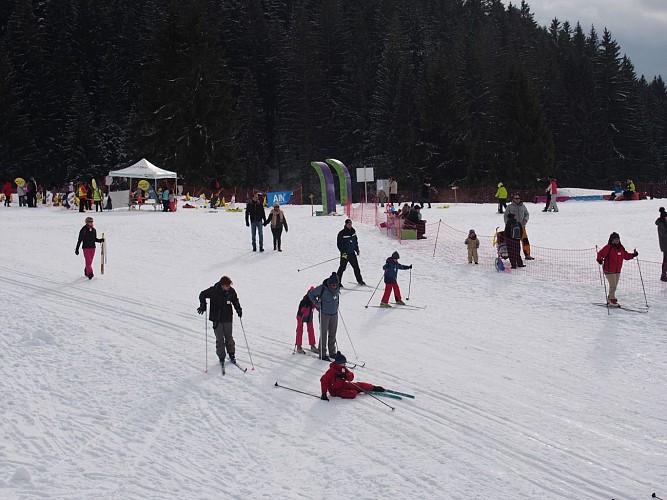 Cross country skiing tracks: short green for beginners